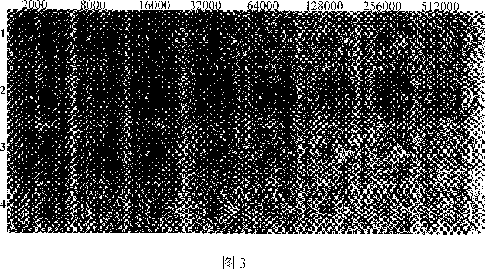 Immunogen by using mutant CRM197 of diphtheria toxin as carrier, preparation method, and application