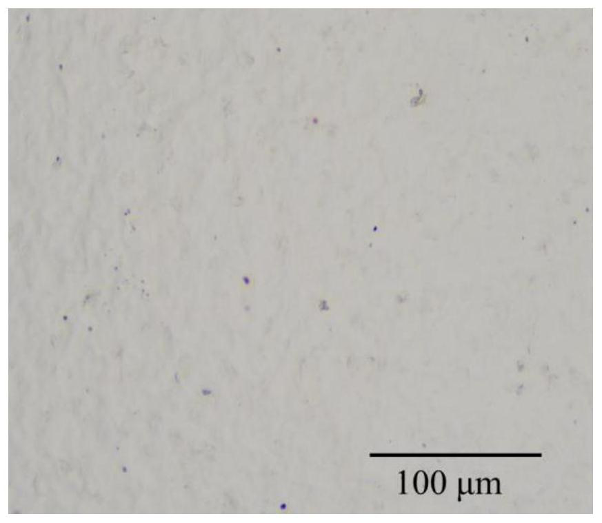 Preparation method of polyanion anti-shrinkage fruit fresh-keeping coating liquid