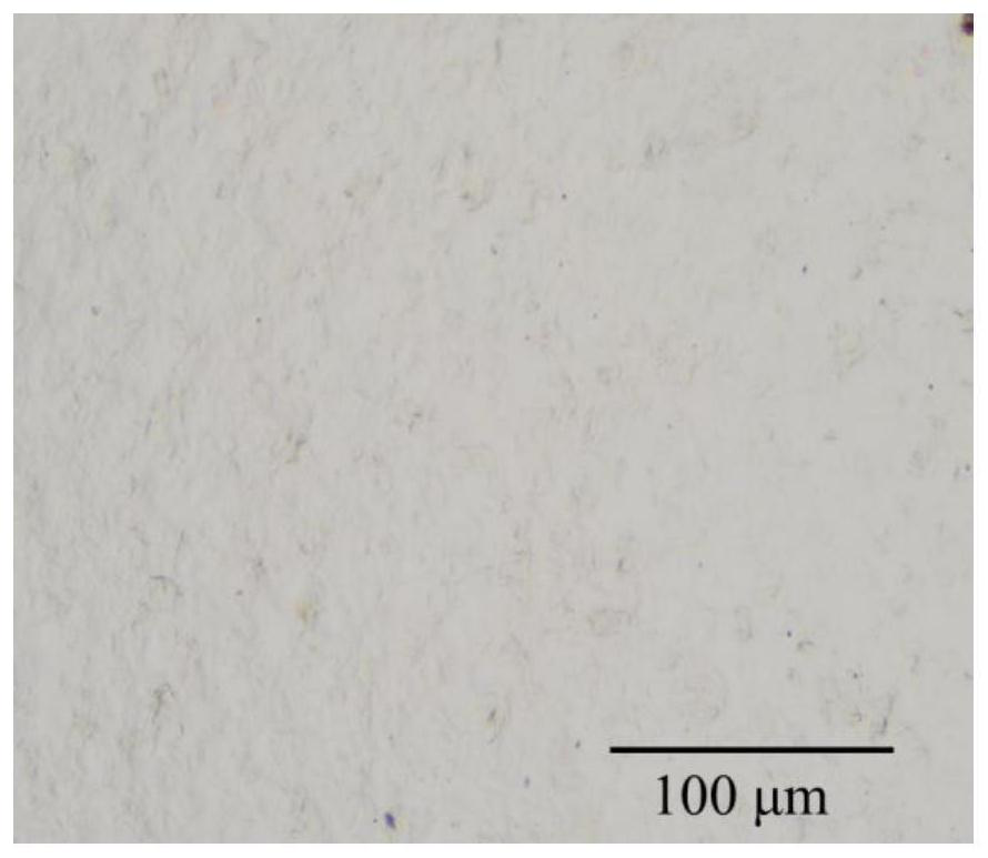 Preparation method of polyanion anti-shrinkage fruit fresh-keeping coating liquid