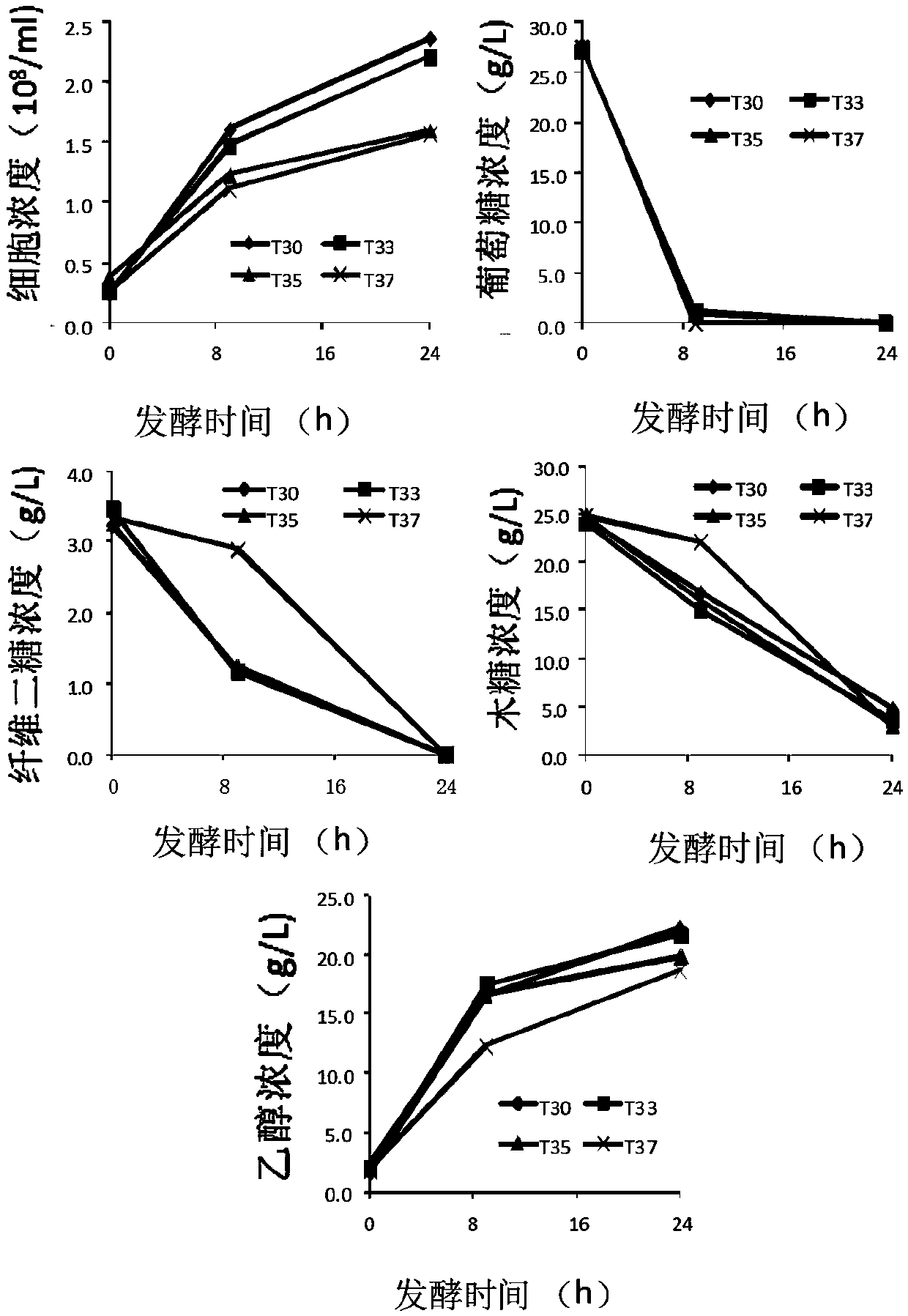 Saccharomyces cerevisiae strain for producing ethanol by quick fermentation of xylose and construction method