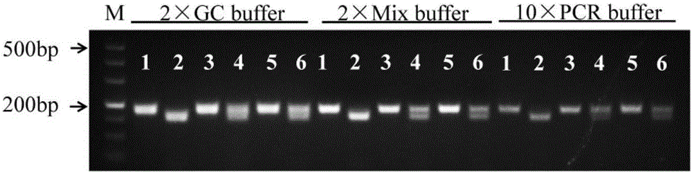 Molecular markers for identifying PHYB wild type and mutant of rice phytochrome gene