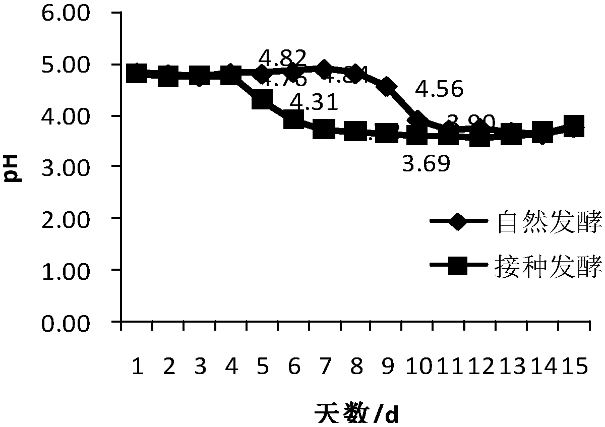 Low-salt low-nitrate fragrant flavored chili sauce and preparation method thereof