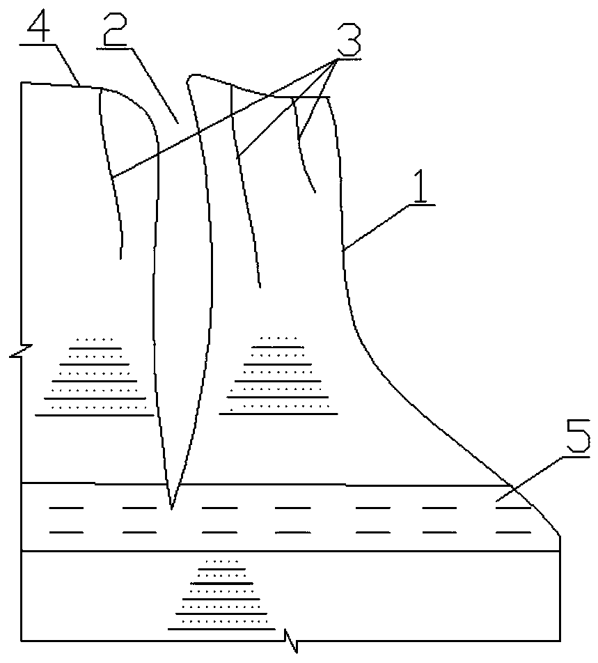 Microbial capsule applied to dangerous rock mass reinforcement and construction process