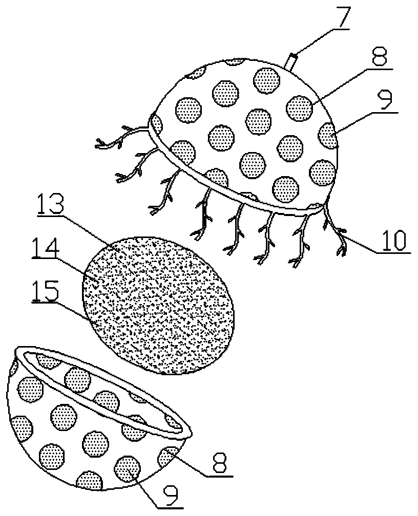 Microbial capsule applied to dangerous rock mass reinforcement and construction process