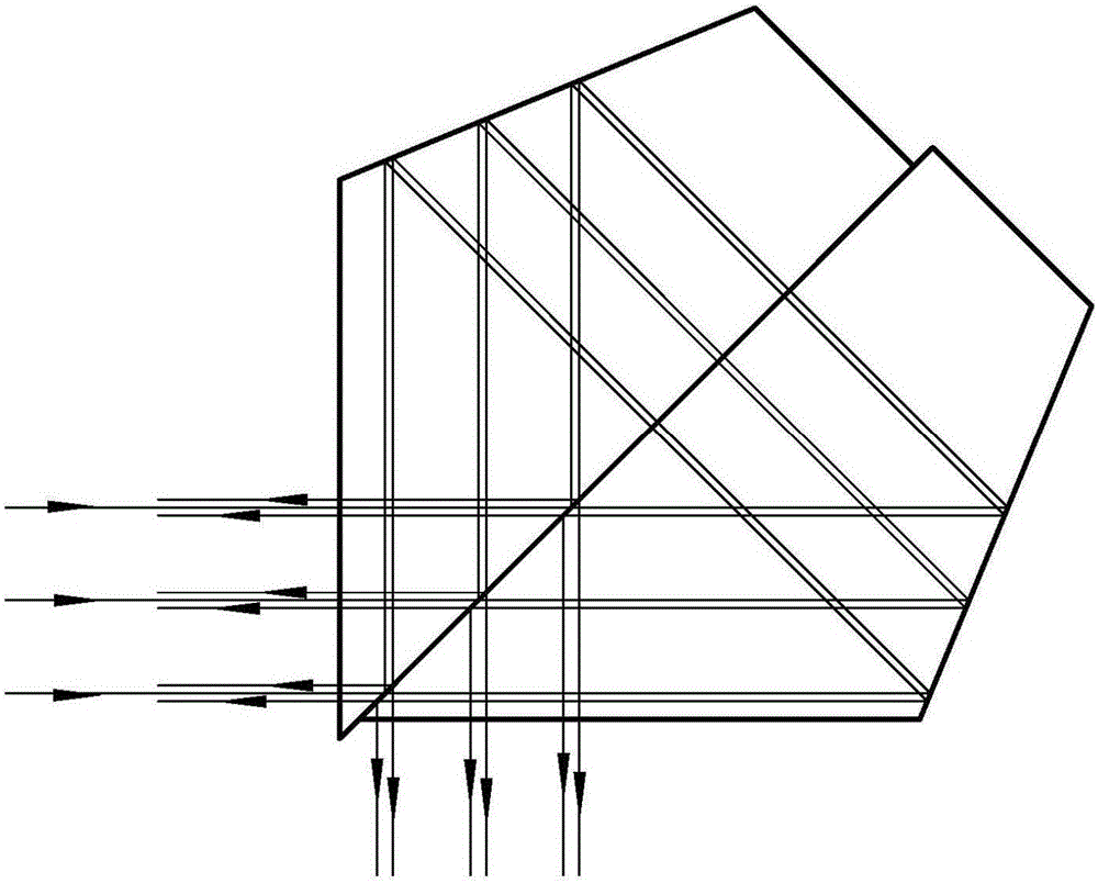 Double optical path detection lateral shearing interferometer and interference method thereof