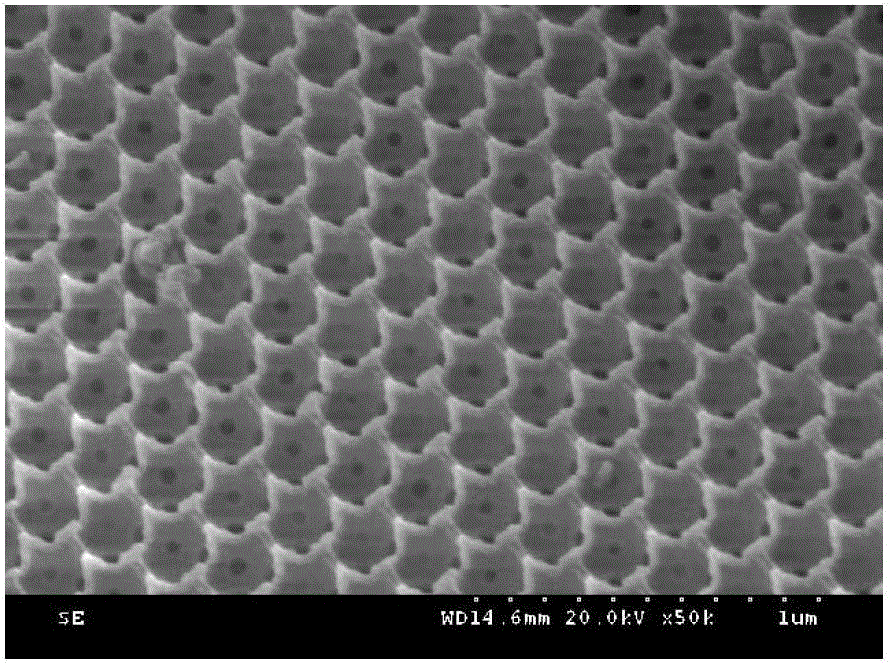 Preparation method of supported phosphorus-vanadium catalyst and method for synthesizing methyl acrylate by use of supported phosphorus-vanadium catalyst