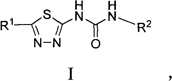 Asymmetric heterocyclic ring substituent urea compound and preparation method and application thereof