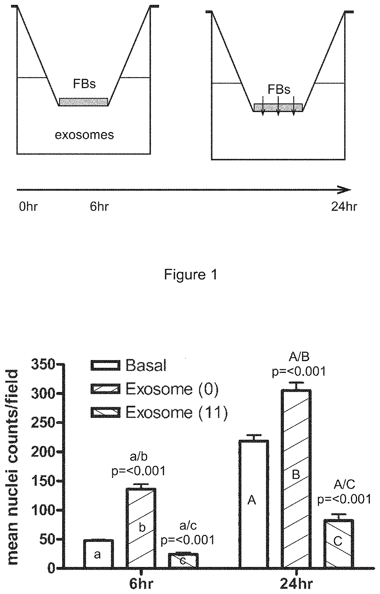 STEM CELL MICROPARTICLES AND miRNA