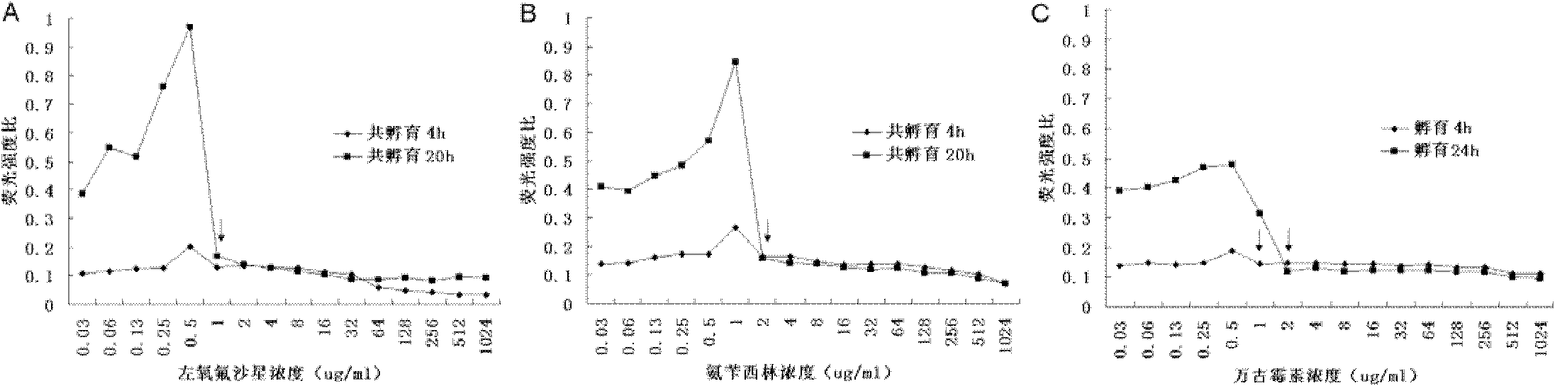 Method for determining minimal inhibitory concentration of drug