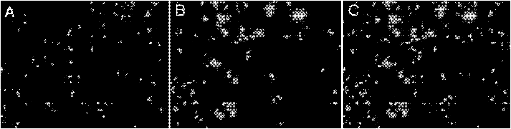 Method for determining minimal inhibitory concentration of drug