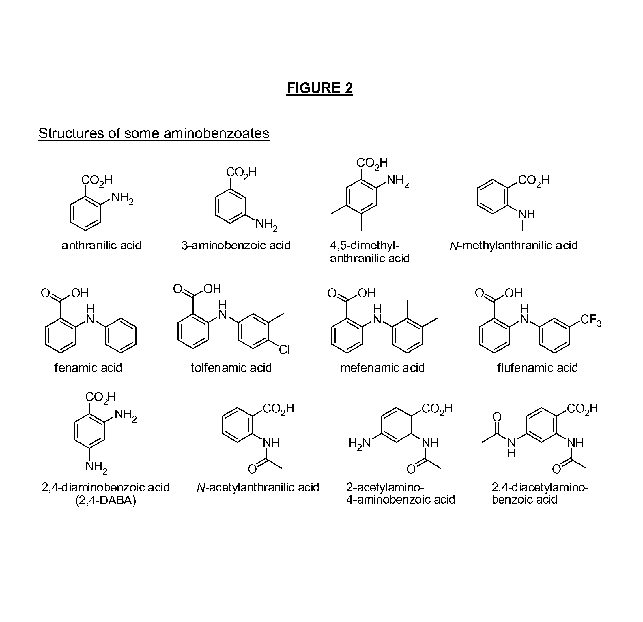 Benzoic acid, benzoic acid derivatives and heteroaryl carboxylic acid conjugates of hydromorphone, prodrugs, methods of making and use thereof