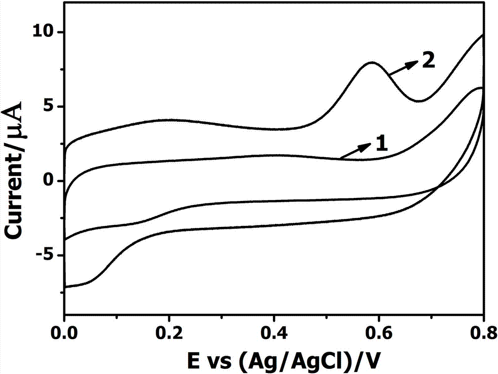 An electrochemical method for detecting 2,4,6-trichlorophenol