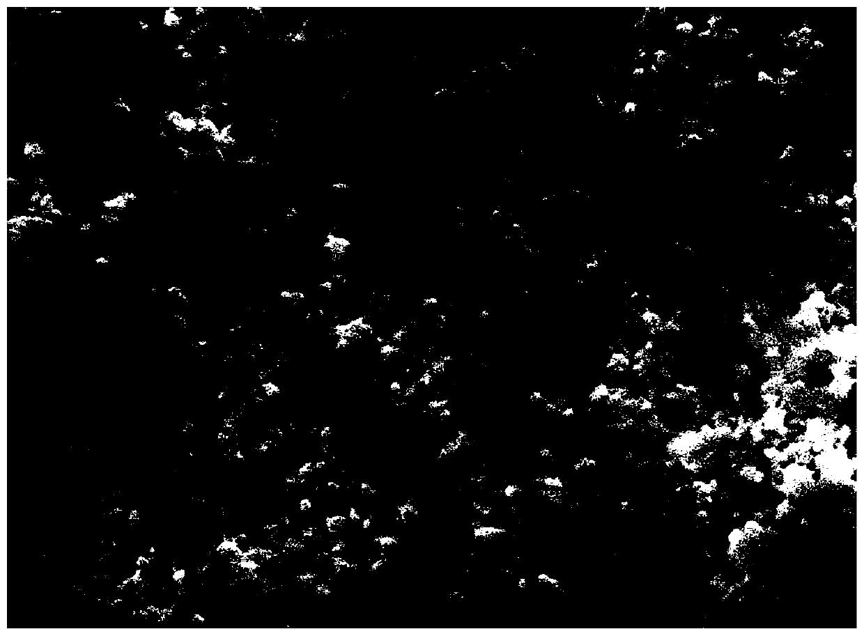 Inorganic nanoparticle-modified aramid fiber paste and aramid-coated lithium battery composite diagram