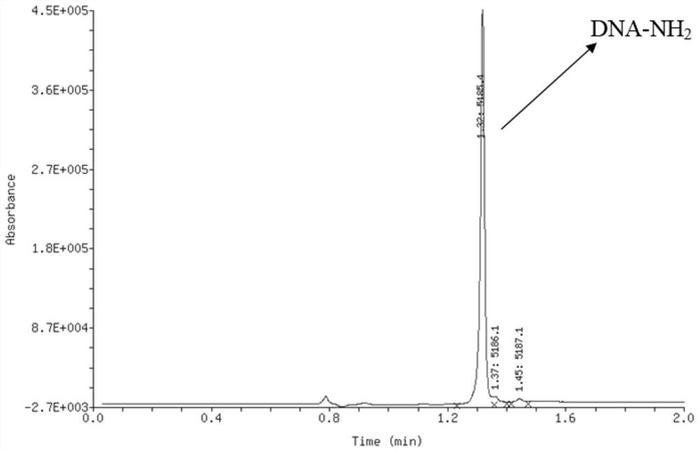 Oligonucleotide-disulfide and synthesis method thereof