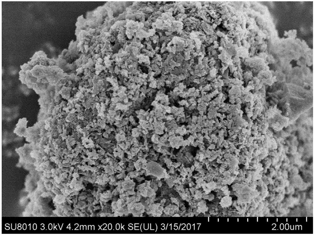 Method for removing tetracycline in wastewater by virtue of magnetic composite adsorbent