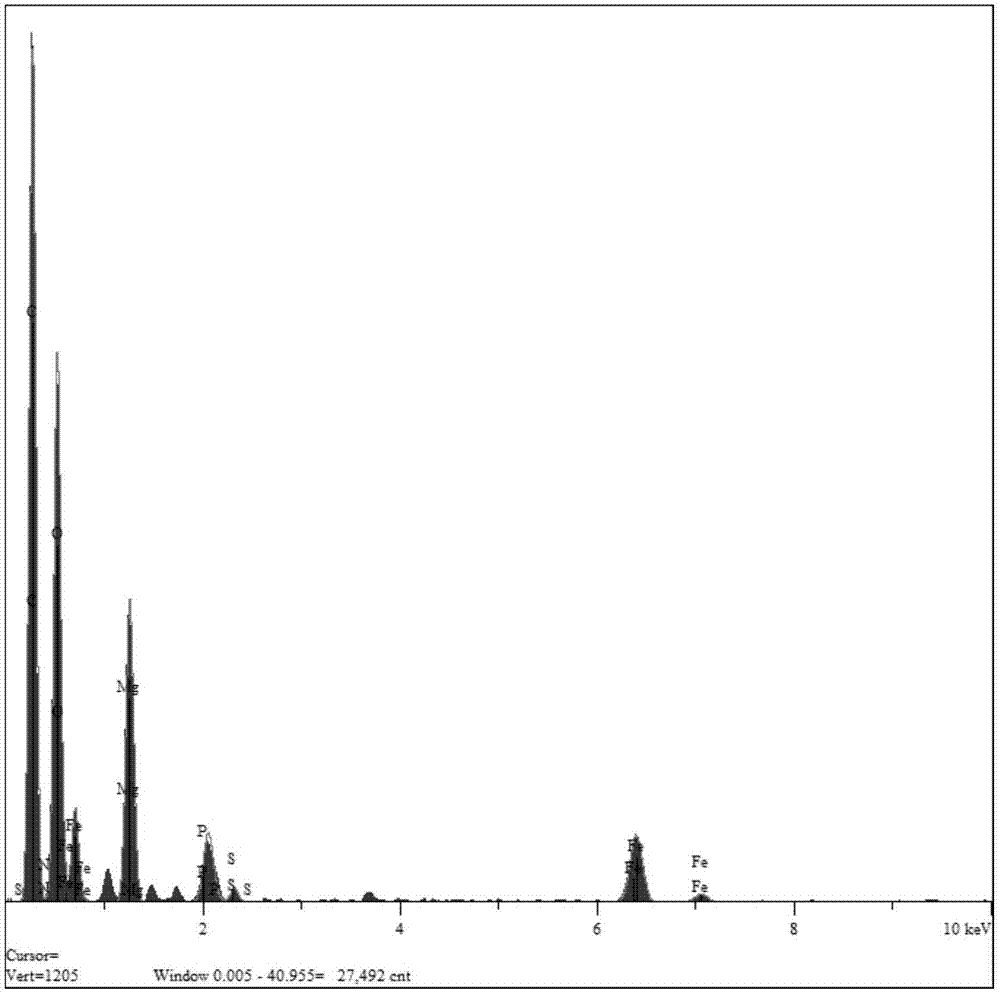 Method for removing tetracycline in wastewater by virtue of magnetic composite adsorbent