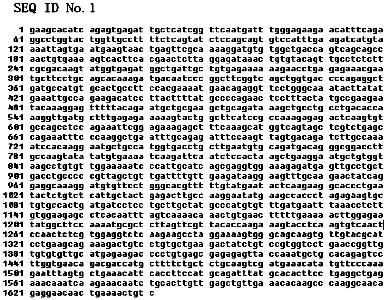 Cat serum albumin recombinant protein and efficient expression method thereof in pichia pastoris