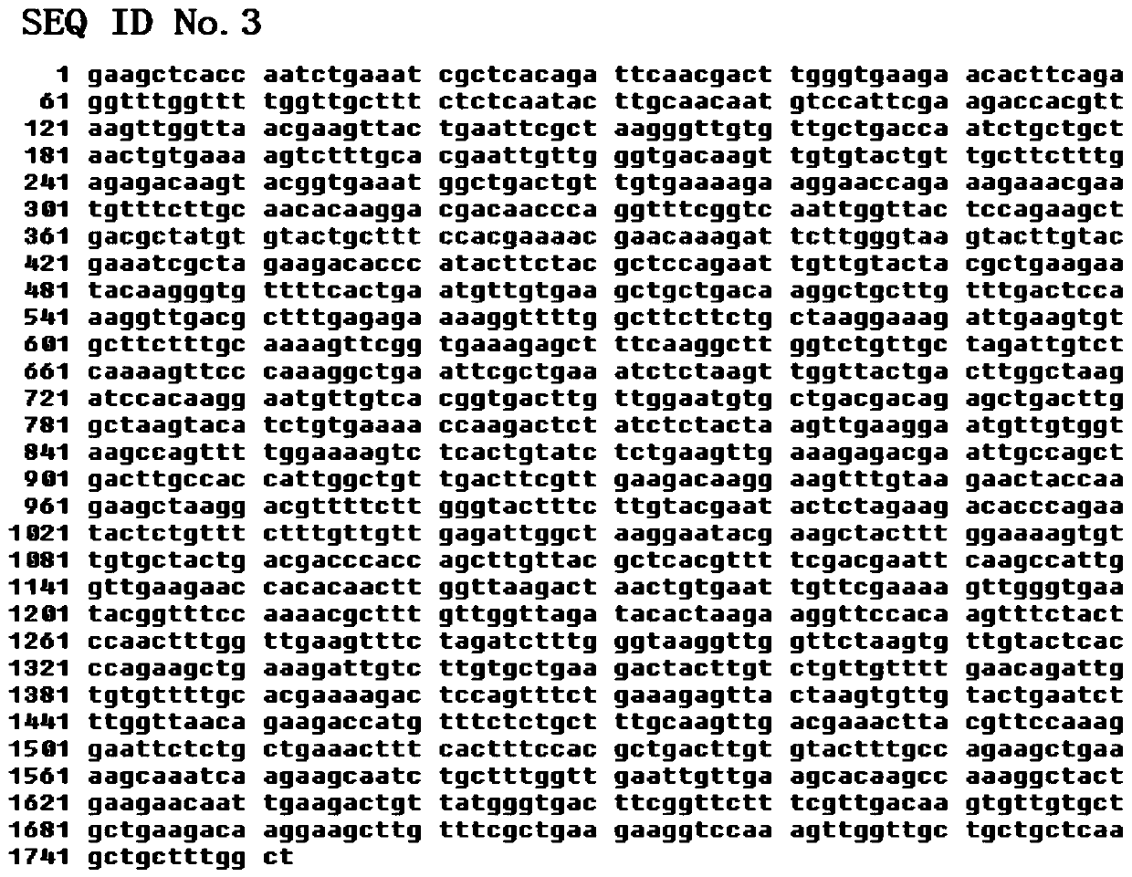 Cat serum albumin recombinant protein and efficient expression method thereof in pichia pastoris