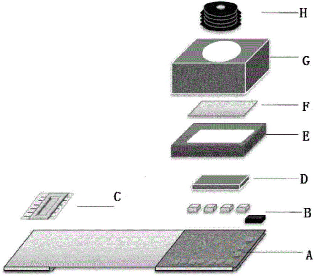 Terminal and terminal camera module