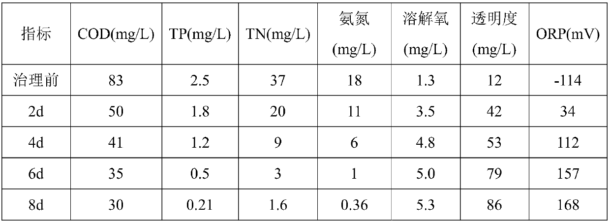 Slow-release microorganism microbial inoculum for government of black and odorous water body and preparation method of slow-release microorganism microbial inoculum