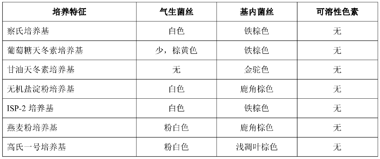 Pseudonocardia and application thereof