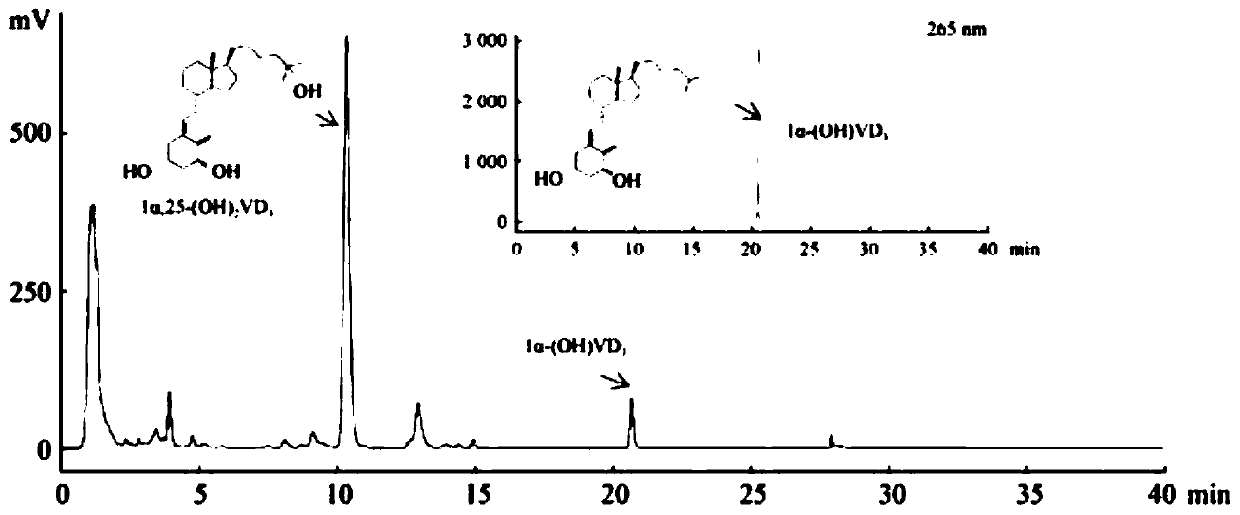 Pseudonocardia and application thereof