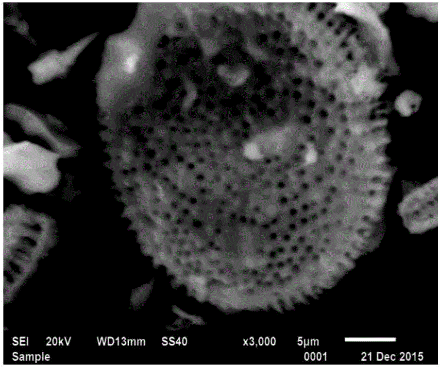 Method for preparing porous silicon/TiO2 composite negative electrode material by taking diatomite as raw material