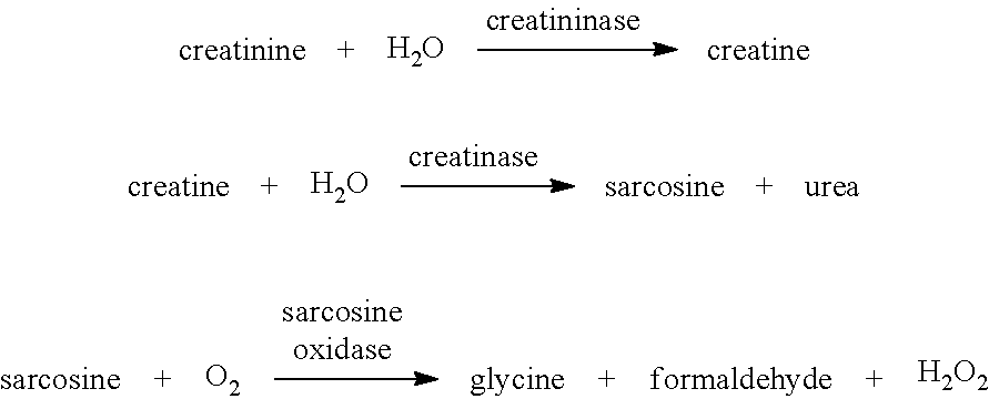 Modified creatinase