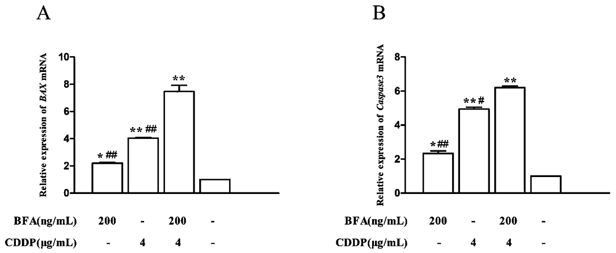 Medicine composition for inhibiting ovarian carcinoma cells