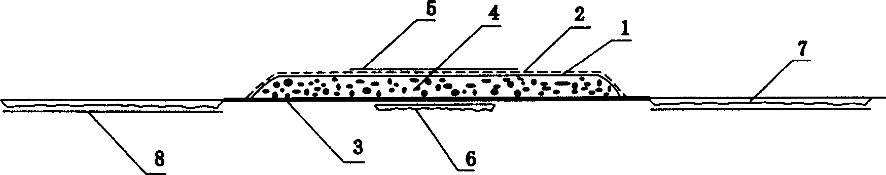 An exothermic drug plaster