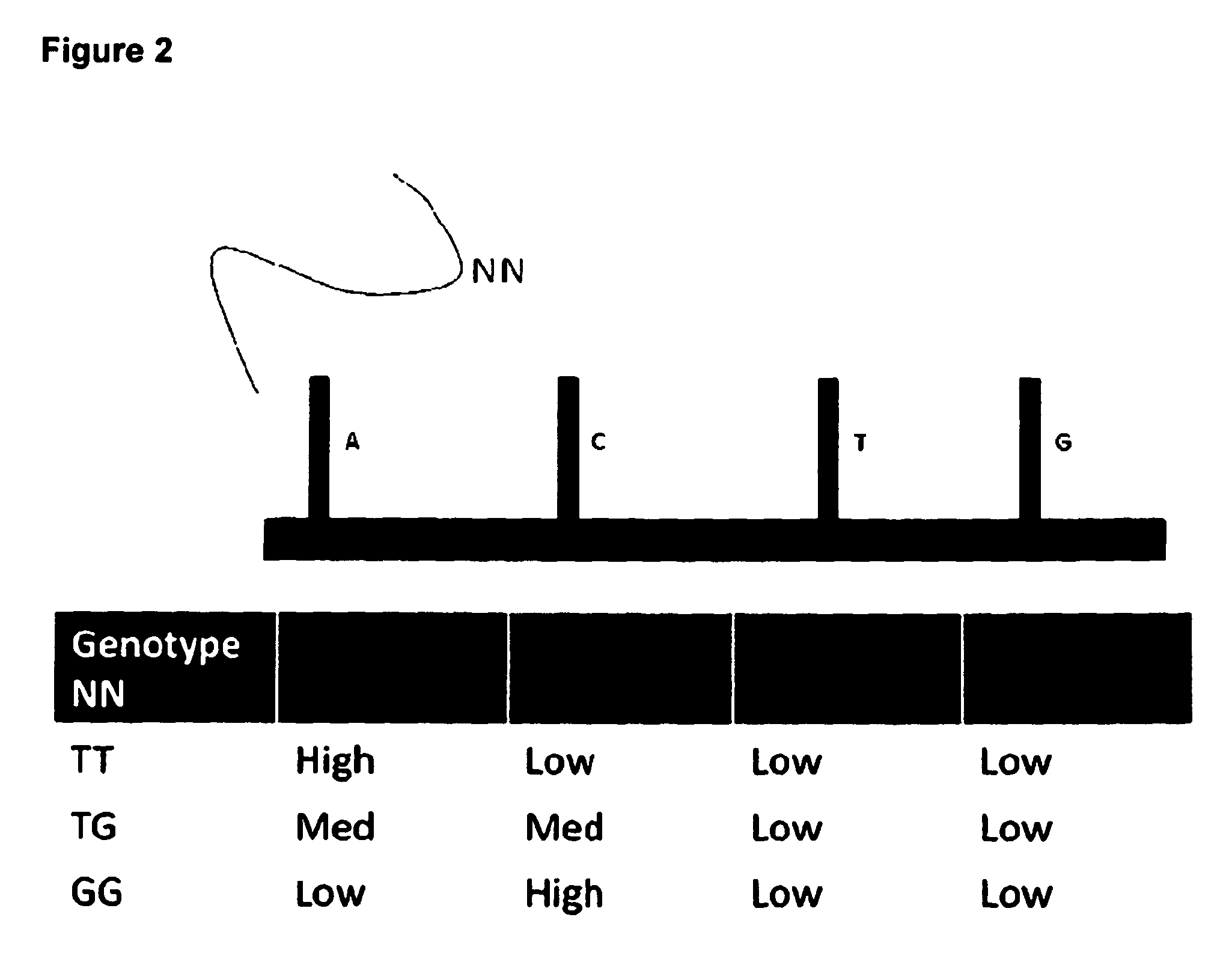 Combined CGH and allele specific hybridisation method