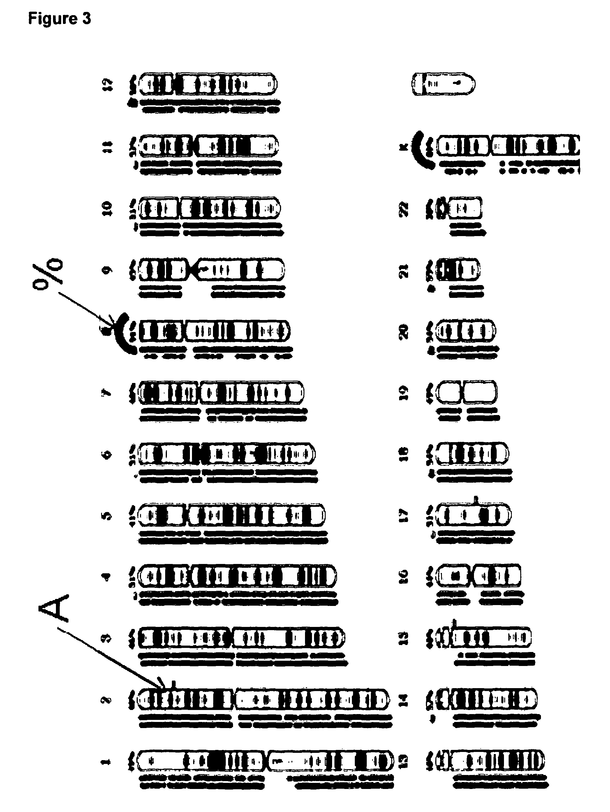 Combined CGH and allele specific hybridisation method