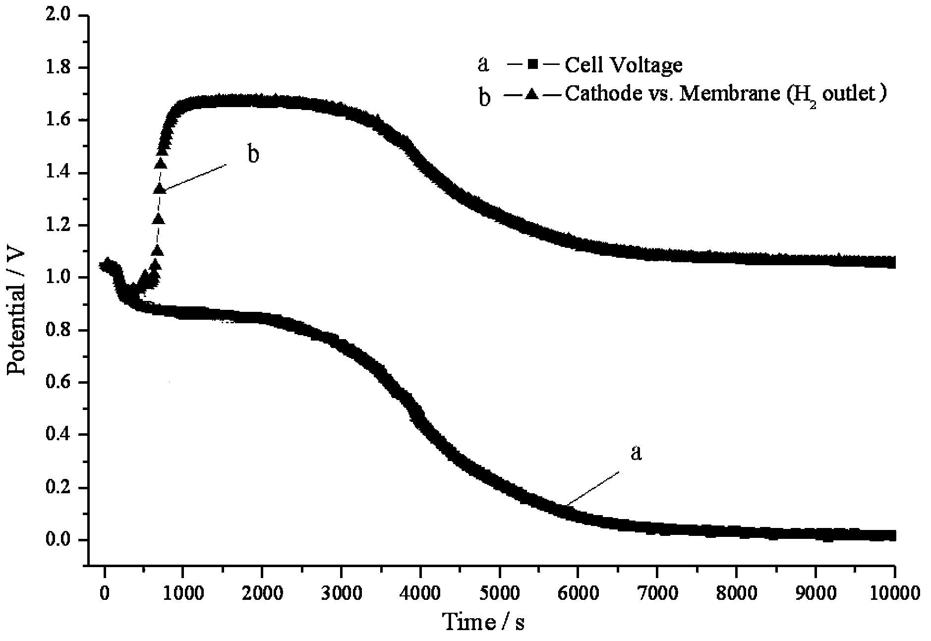 Fuel cell system, parking discharge control method and use of fuel cell system