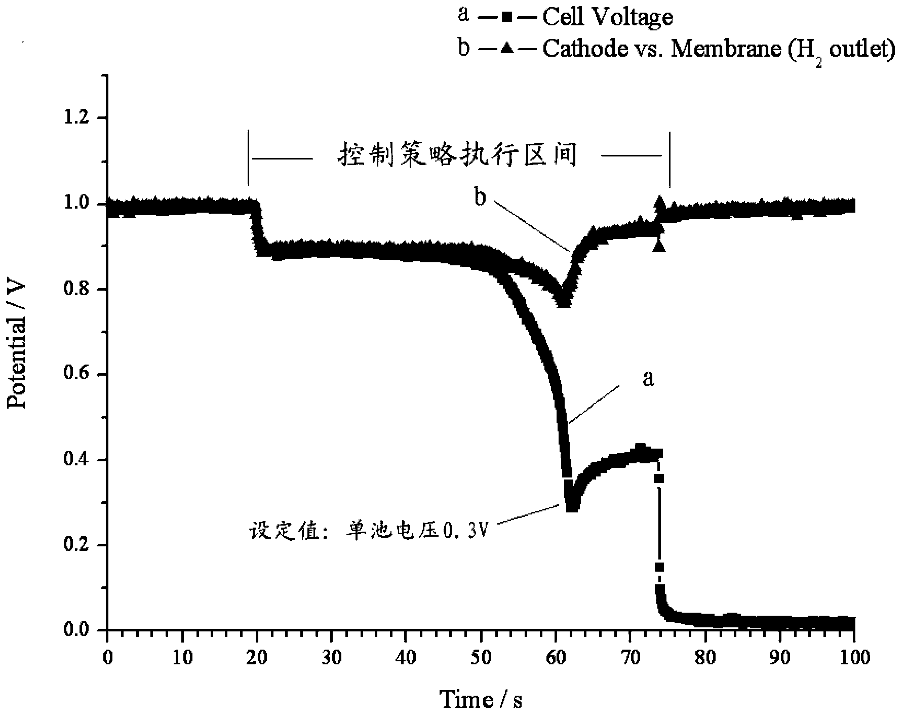 Fuel cell system, parking discharge control method and use of fuel cell system