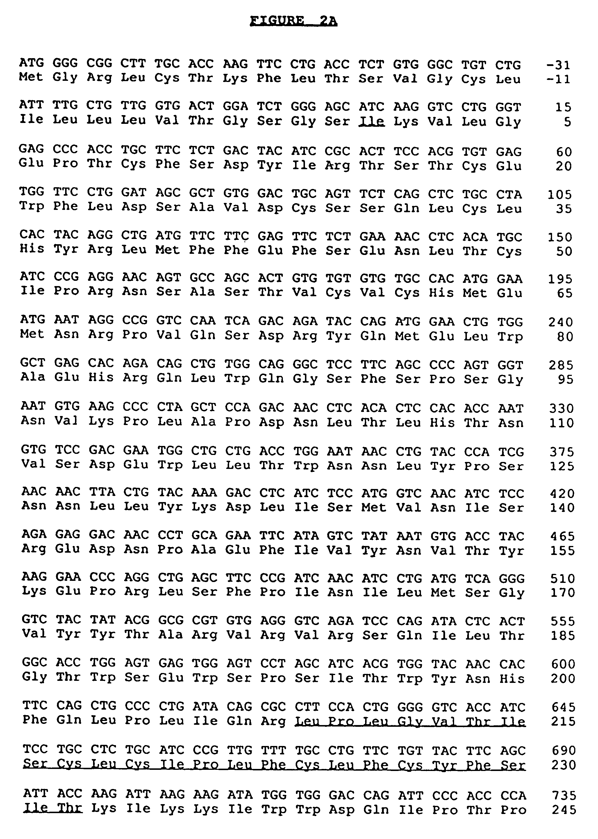 Antibodies to Interleukin-4 receptors and uses thereof