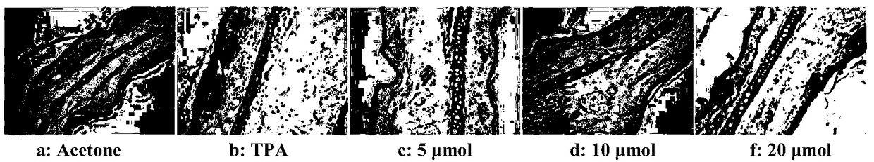 Novel application of oleanolic acid