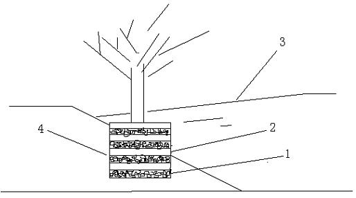 Method for biologically treating sewage through cation exchange, adsorption and filtering by using rice hull carbon