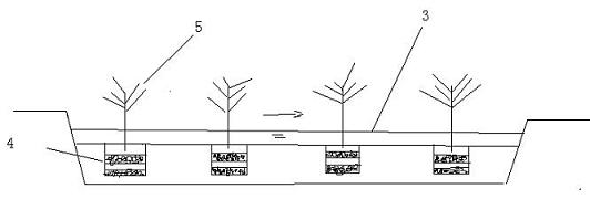 Method for biologically treating sewage through cation exchange, adsorption and filtering by using rice hull carbon