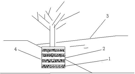 Method for biologically treating sewage through cation exchange, adsorption and filtering by using rice hull carbon