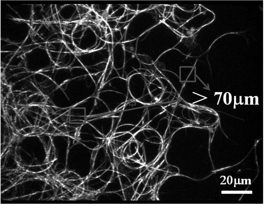 Super-long silver nanowire and preparation method thereof