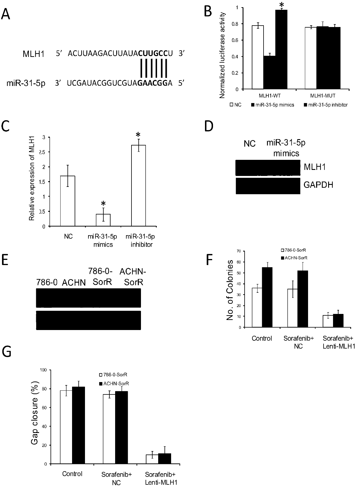 Application of reagent for detecting expression level of MLH1 to preparation of kit for detecting sensitivity of tumor targeted drug