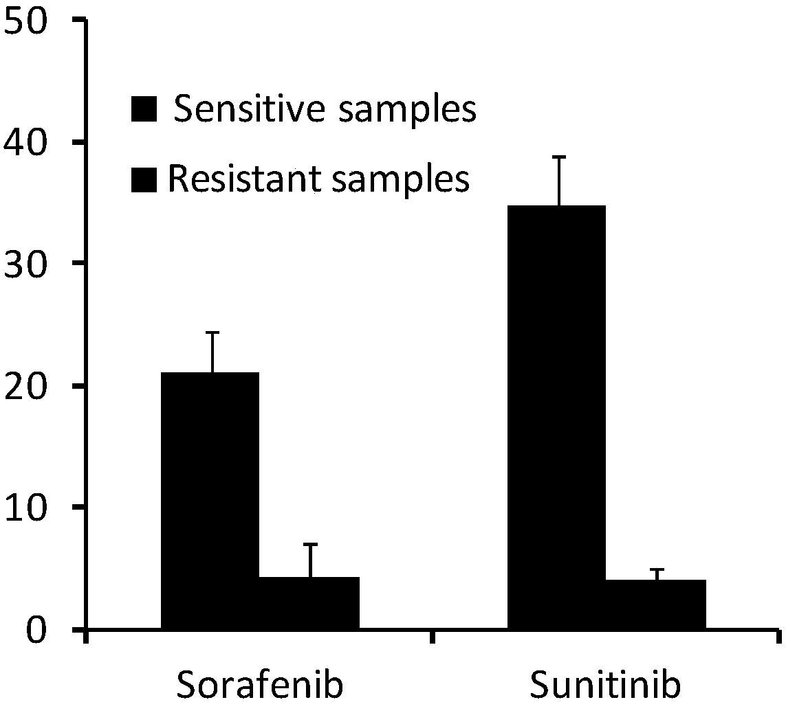 Application of reagent for detecting expression level of MLH1 to preparation of kit for detecting sensitivity of tumor targeted drug