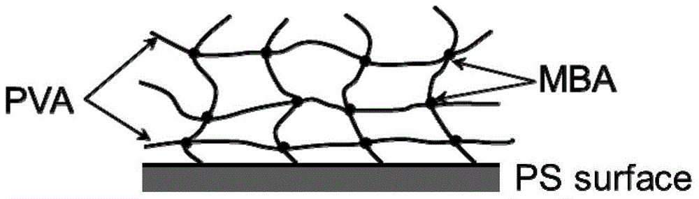 A method for hydrophilic modification of polystyrene material surface