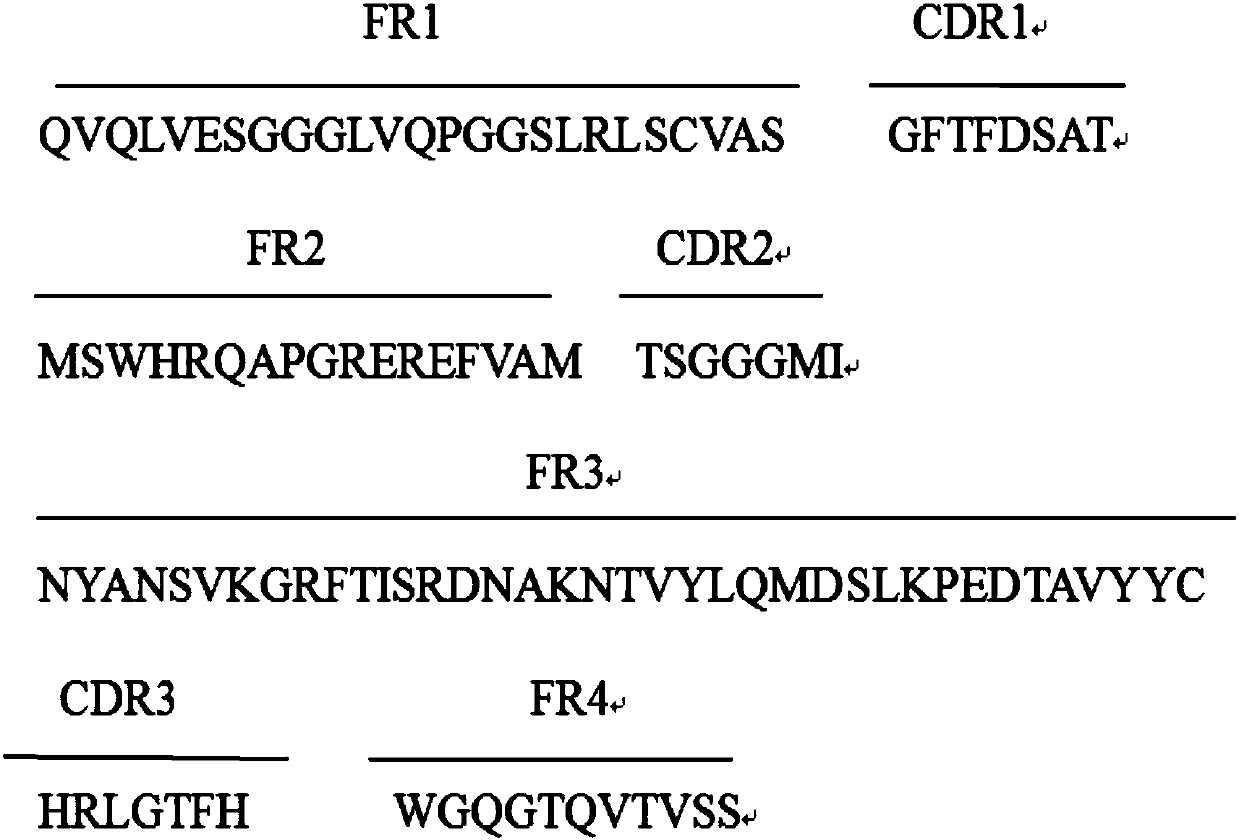 Anti-interferon alpha-2b nanobody and application thereof