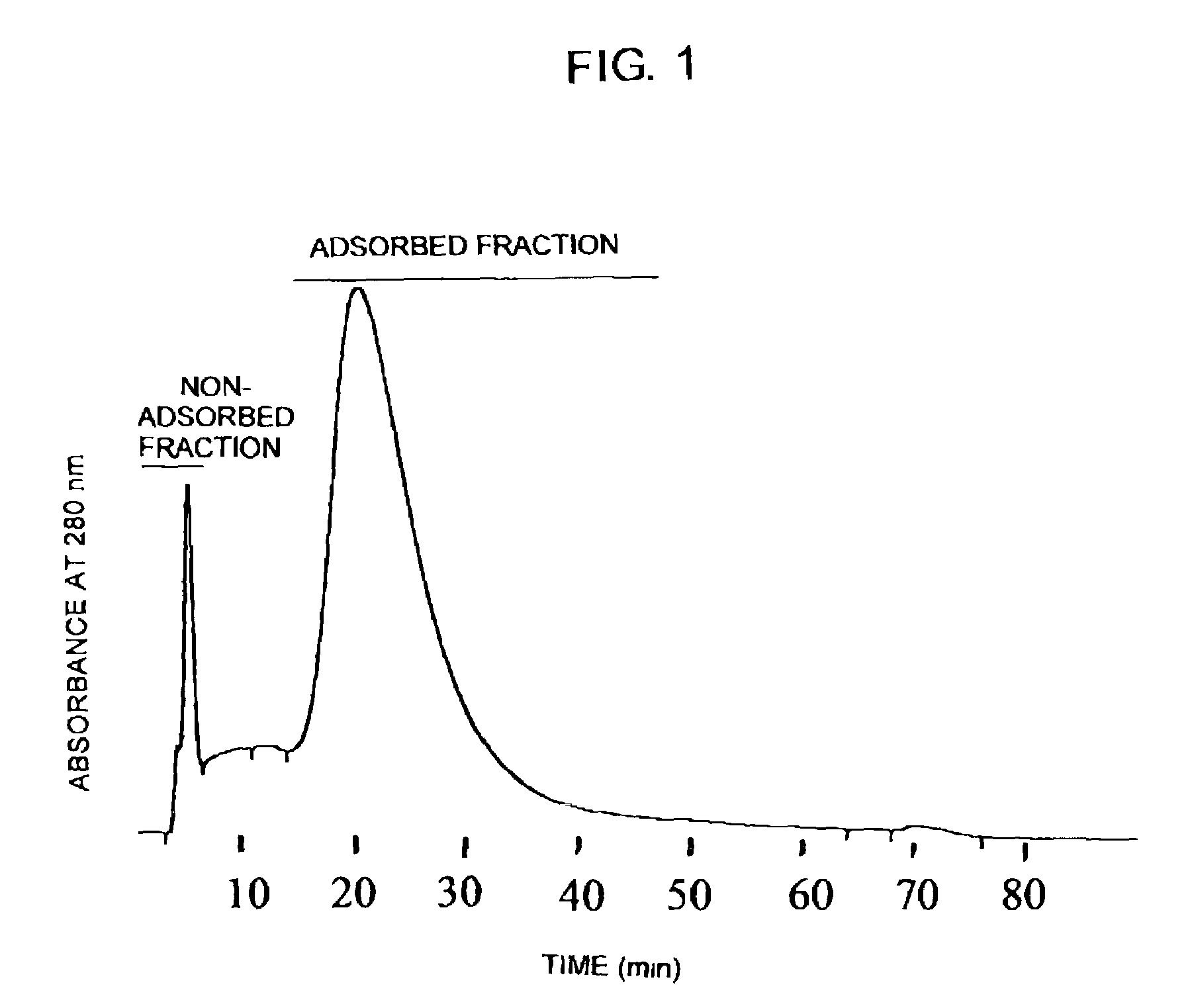 Process for purifying antibody