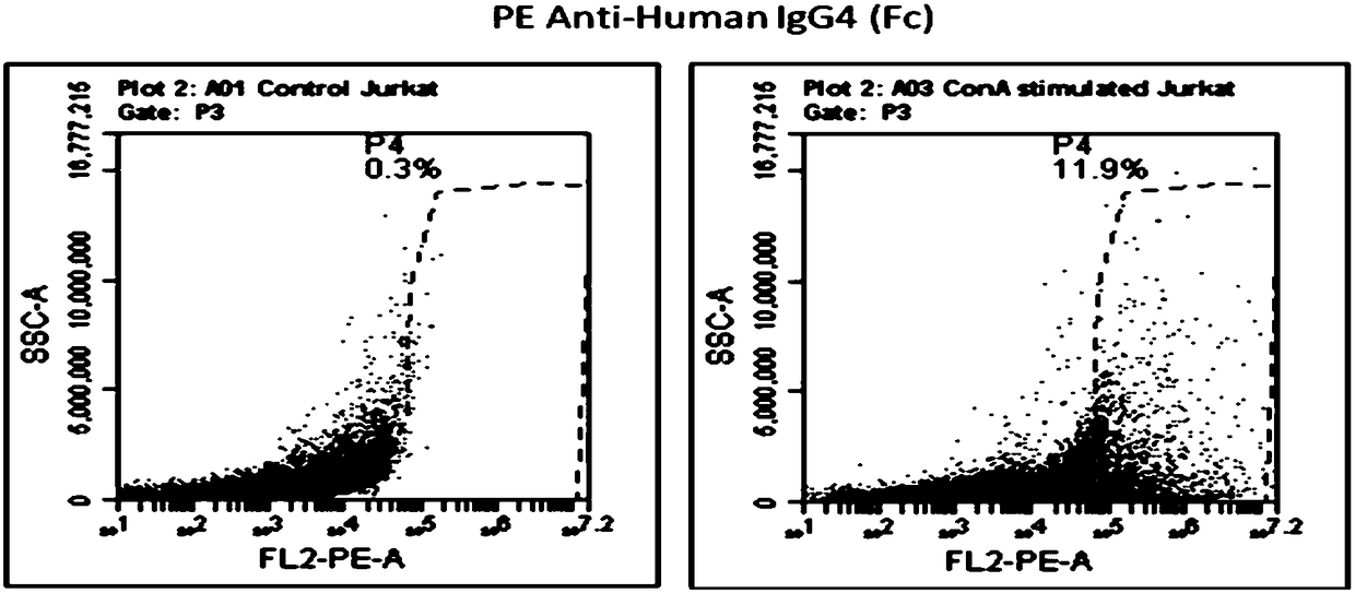 Recombinant oncolytic vaccinia virus and preparation method and application thereof