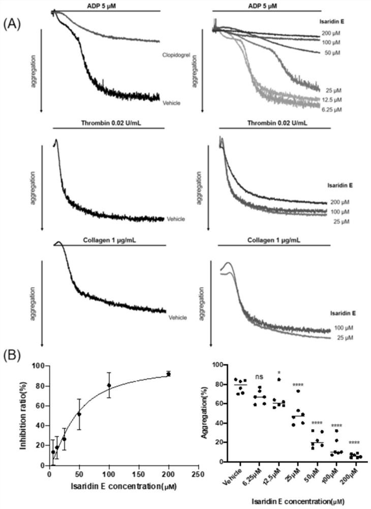 Application of compound Isaridin E or pharmaceutical salt thereof in preparation of antithrombotic drugs