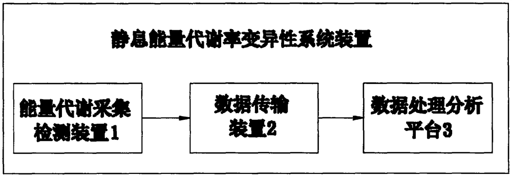 Resting energy metabolic rate variation characteristic analysis method