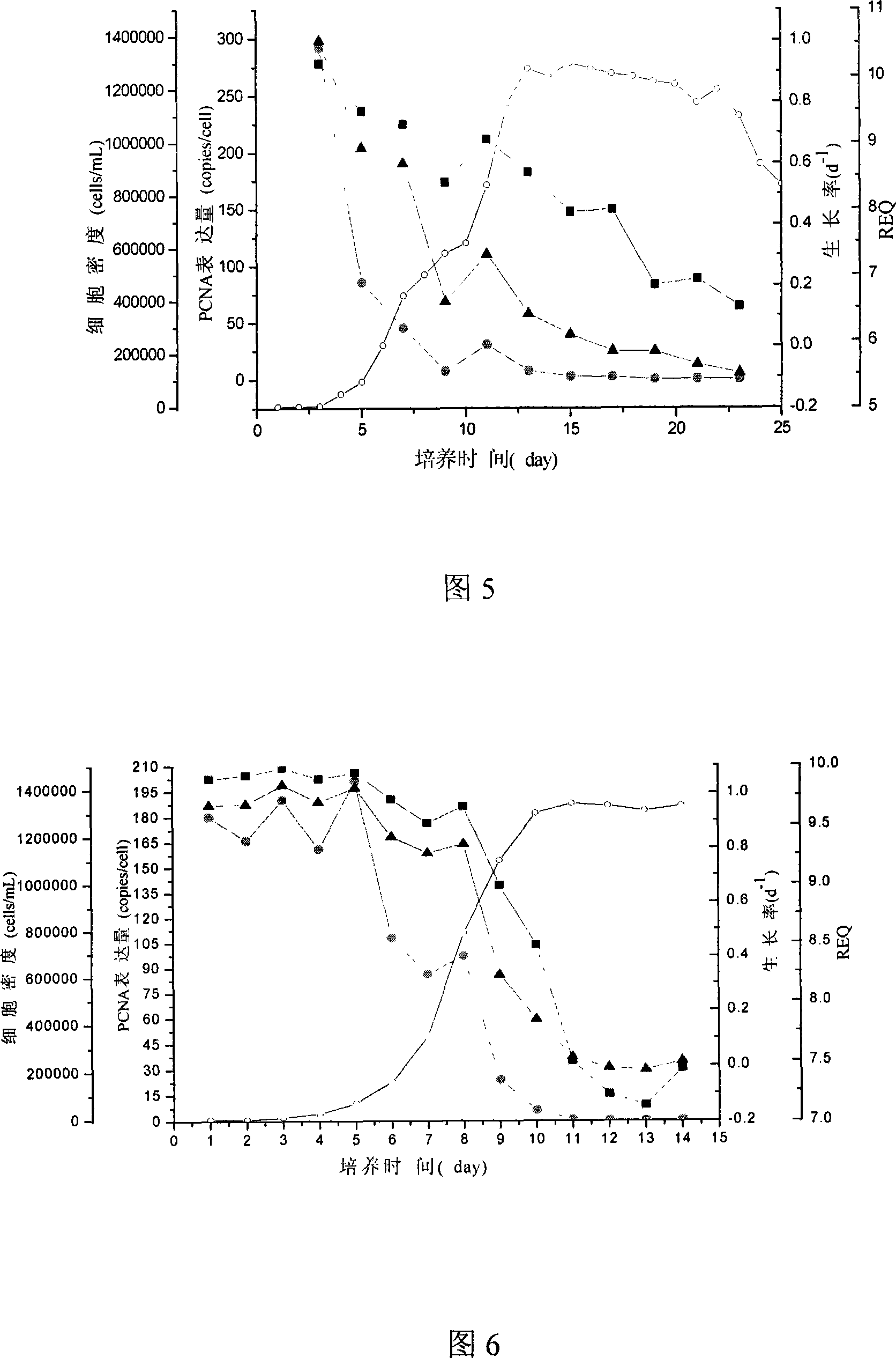 Method for detecting growth rate of skeletonema costatum