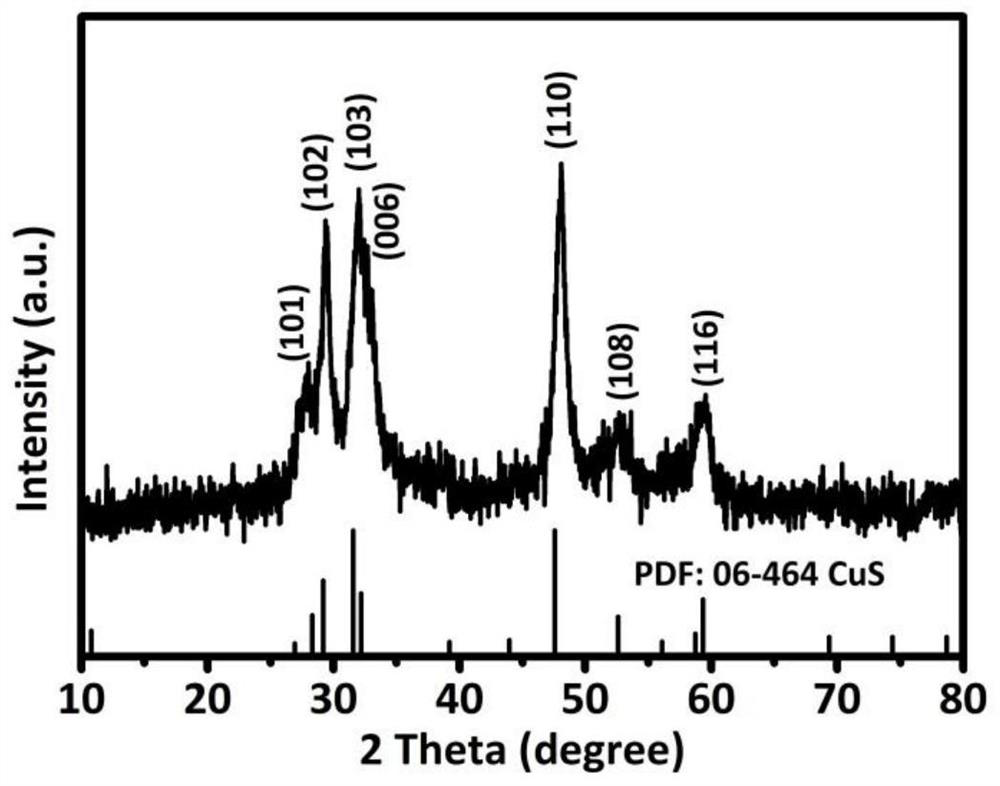 Universal preparation method of transition metal sulfide nanotube and application of transition metal sulfide nanotube as cathode material of rechargeable magnesium battery